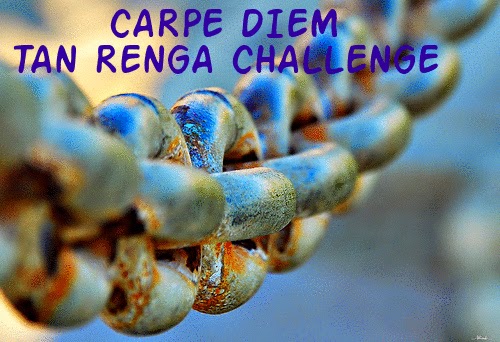 Tan Renga Challenge Logo